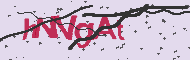 Captcha認証コード
