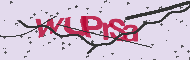 Captcha認証コード